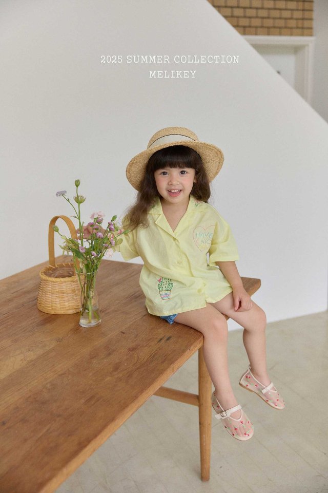 [melikey] Nice Embroidery Shirt_2colors
