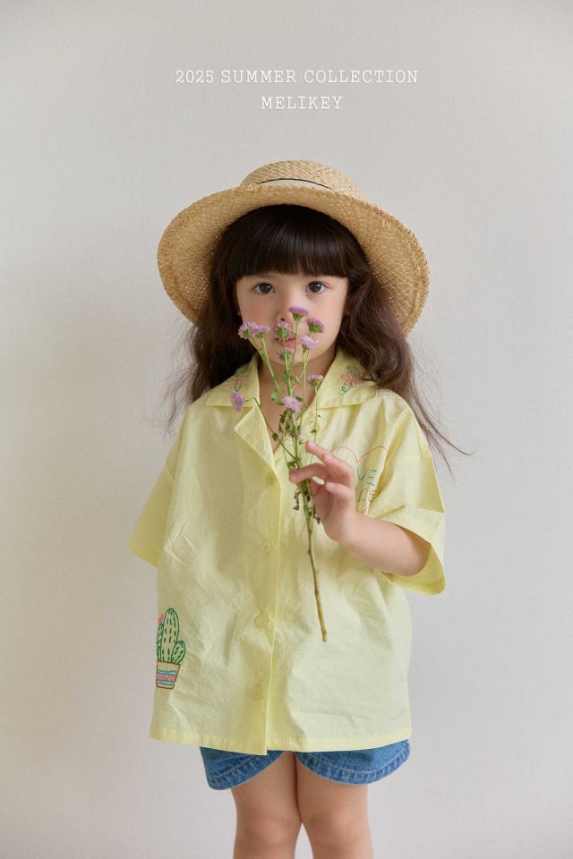 [melikey] Nice Embroidery Shirt_2colors