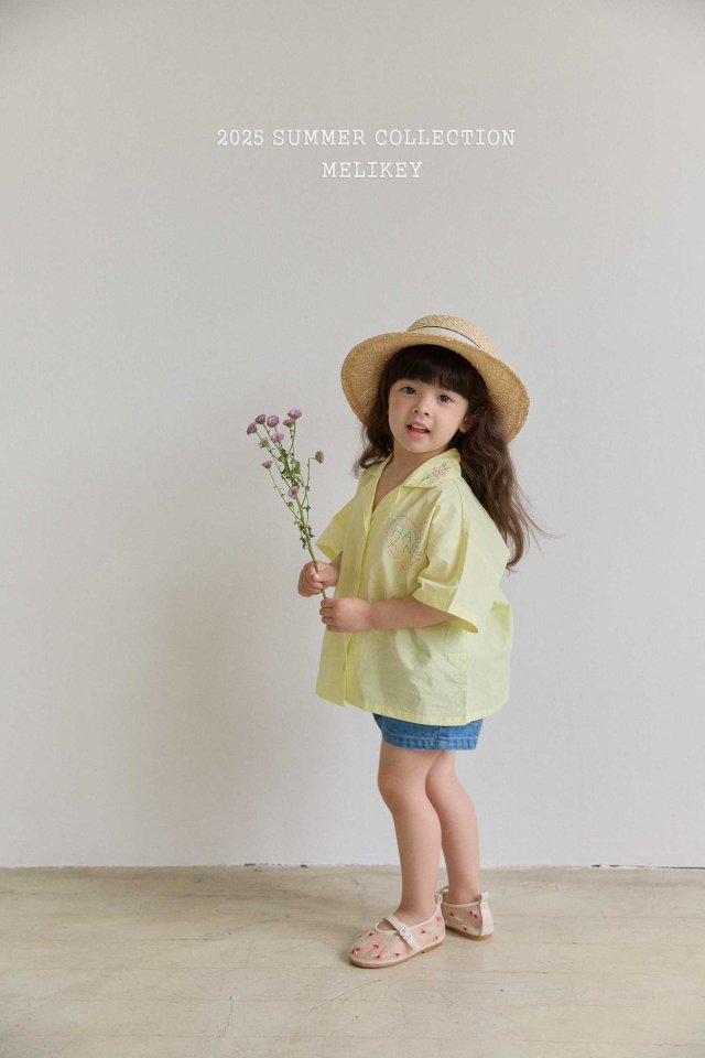 [melikey] Nice Embroidery Shirt_2colors
